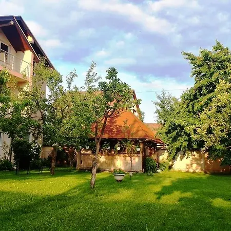 Majida Ilidza Sarajewo